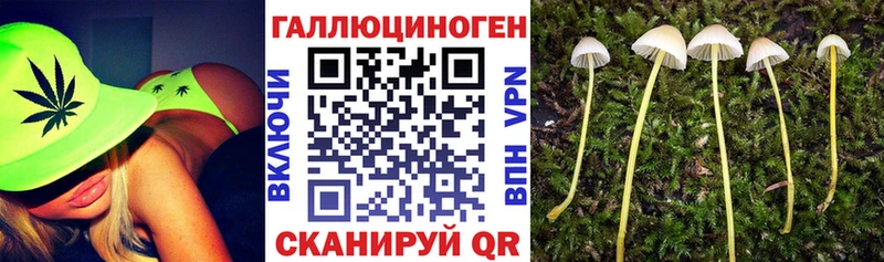 Галлюциногенные грибы прущие грибы  Купить  Ряжск 